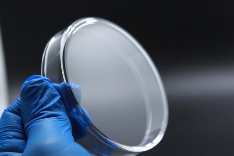 Important Tips for Using Petri Dishes